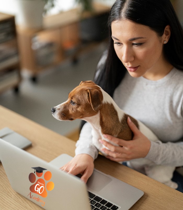 Academia-virtual-canina academia-online-canina
