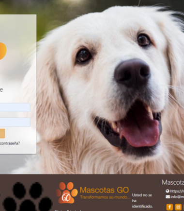 Curso ¿Cómo brindar un paseo beneficioso a las mascotas?