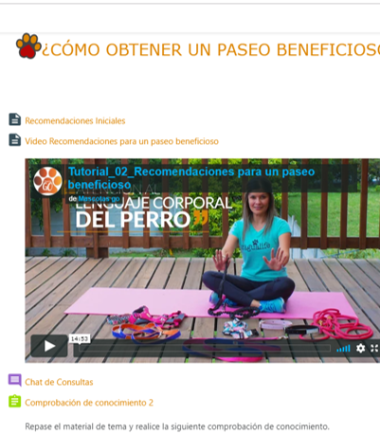 curso-pasear-perro