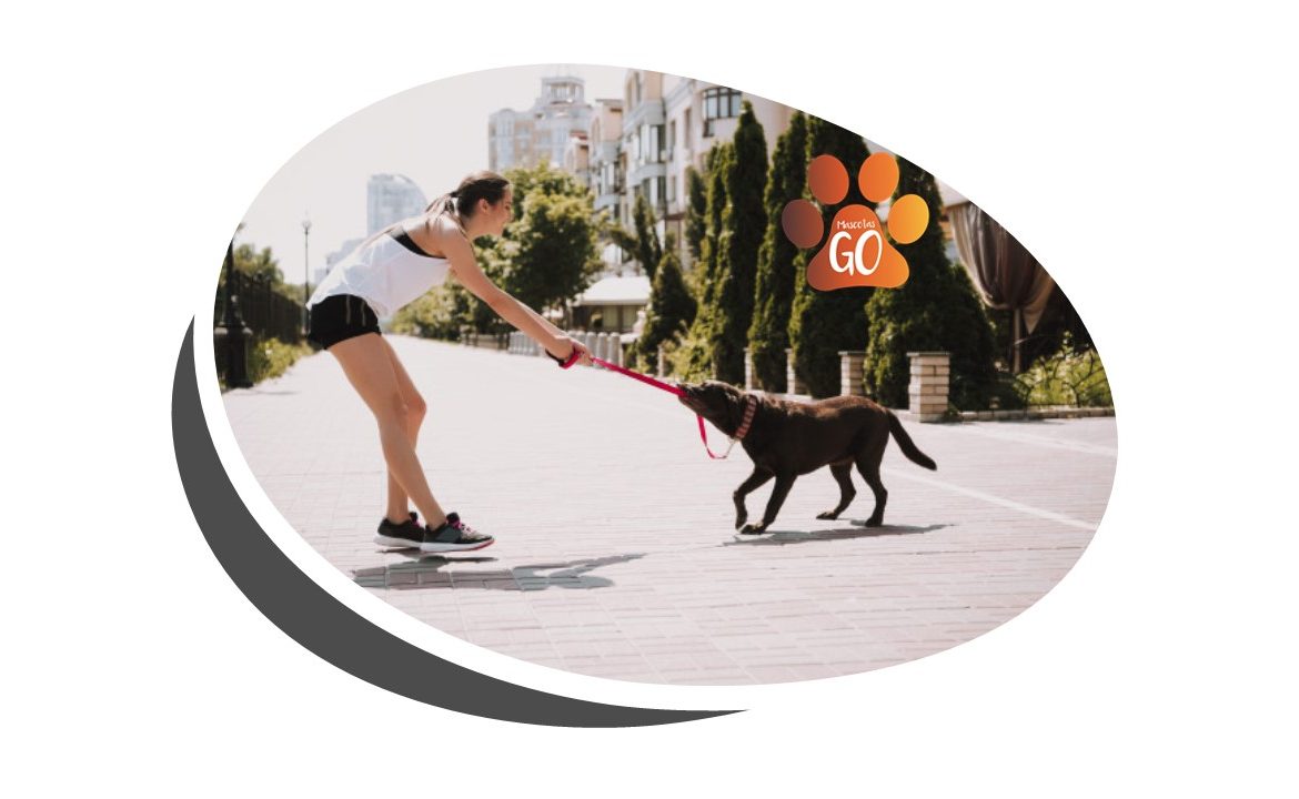 curso canino paseador de perros