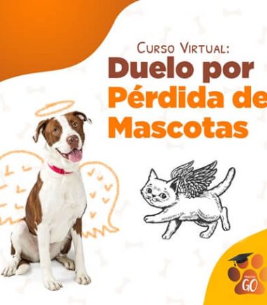curso-como-afrontar-la-muerte-de-tu-mascota