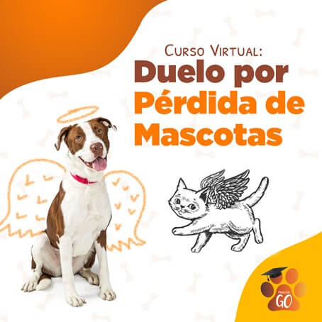 Video Duelo por Pérdida de la Mascota