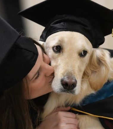 membresía-academia-canina