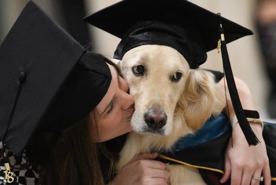 membresía-academia-canina