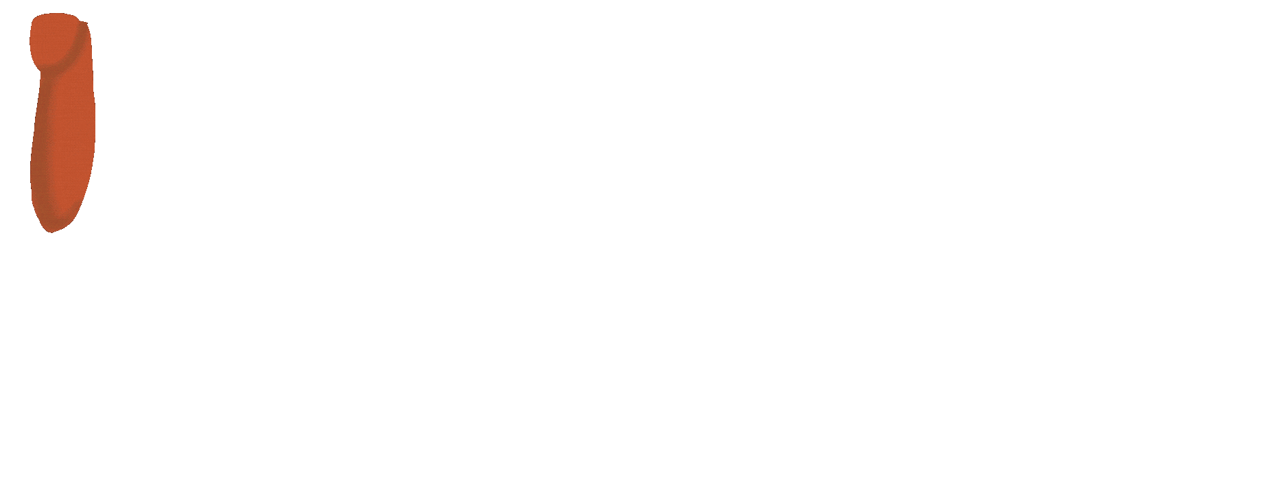 MascotasGO Academy