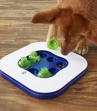 curso-online-estimulación-mental-mascotas