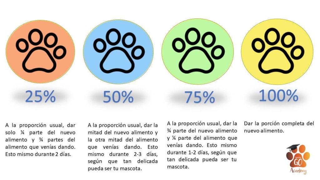 cambio-alimento-mascota