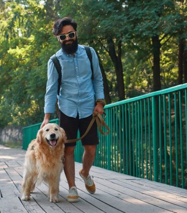 curso-paseador-perros-colombia
