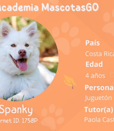 curso-online-adiestramiento