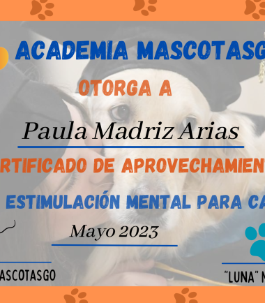 curso-online-para-perro