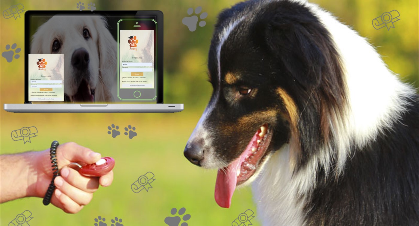 curso-entrenamiento-perro-virtual