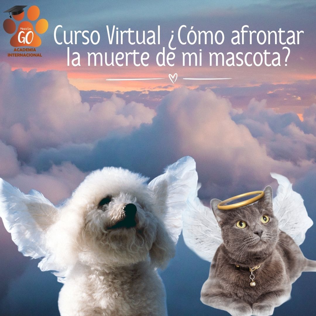 Post Instagram Frase Foto Nubes Aesthetic Azul