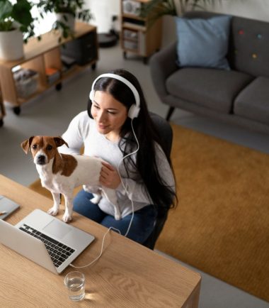 academia-online-perros