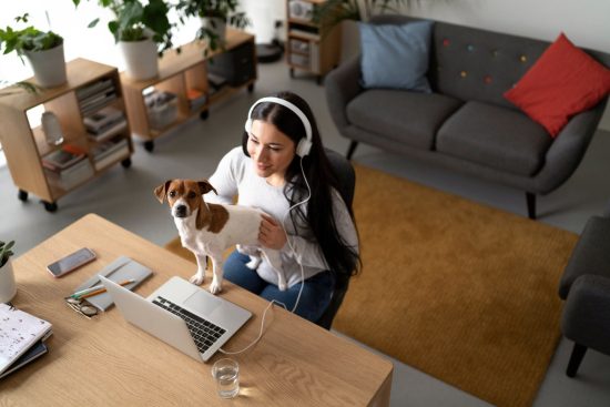 academia-online-perros