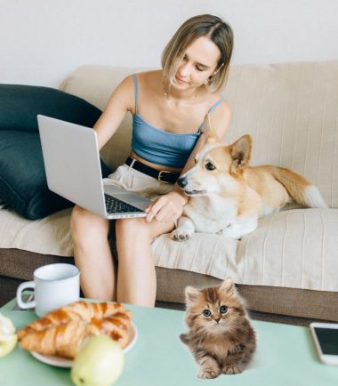 cursos-online-perros-gstos-colombia-mexico