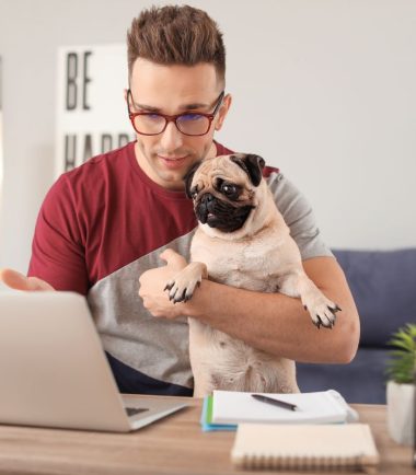 cursos-online-para-perro-gato-Colombia